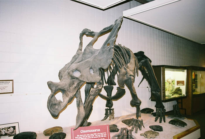Dinosaur08